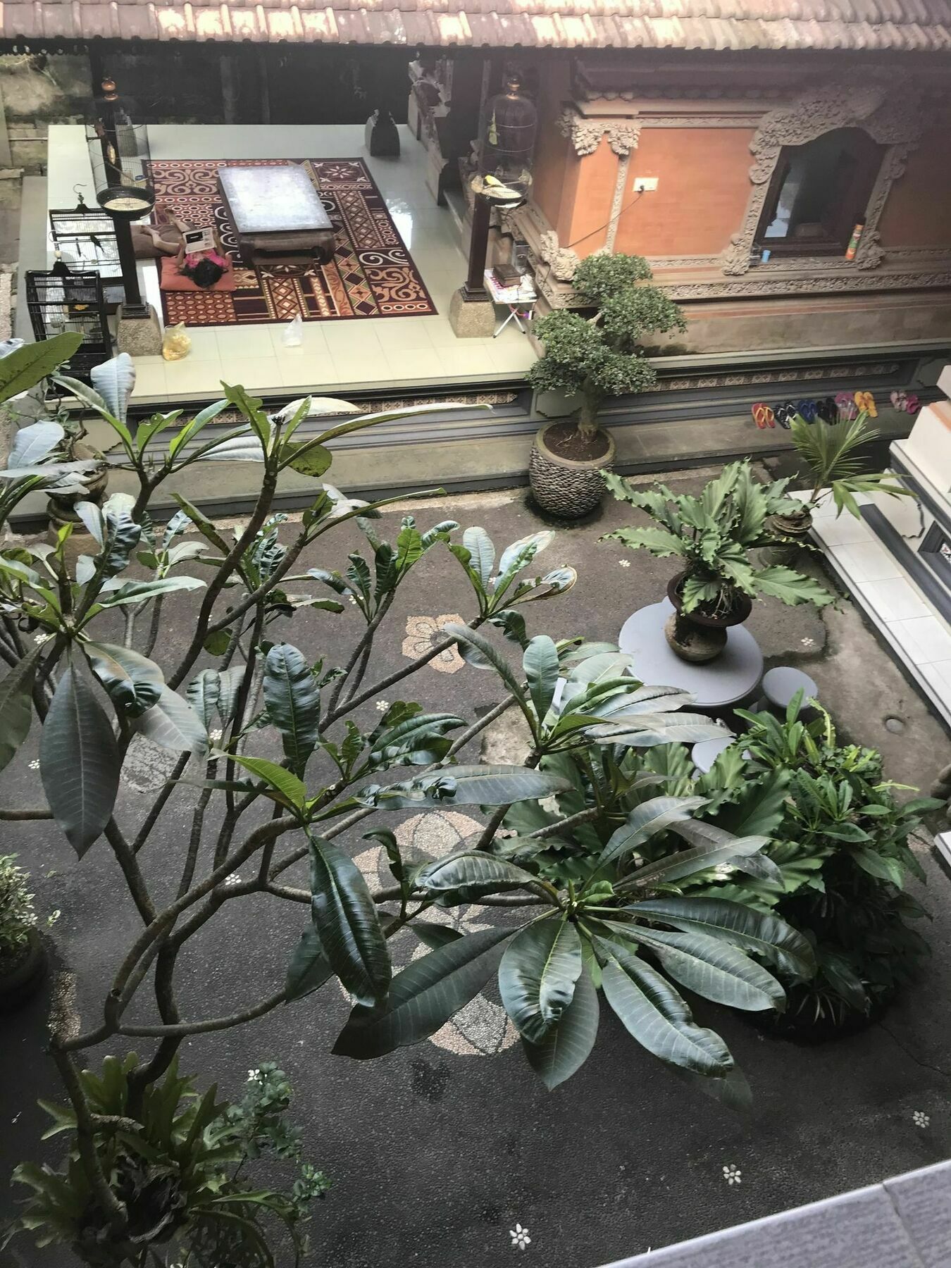 Kacu Ubud Inn Ngoại thất bức ảnh